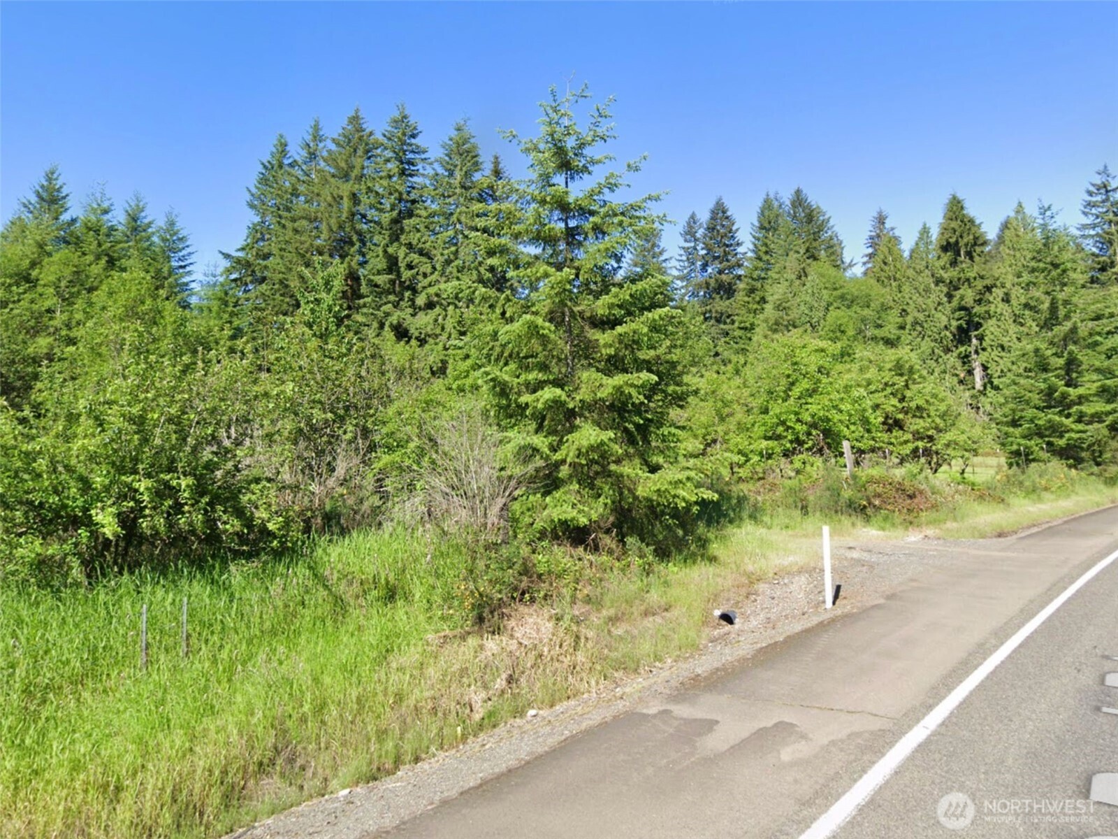 188 South Bank Road Elma, WA 98541 - Photo 20 of 32 a view of a yard with plants and a wooden fence