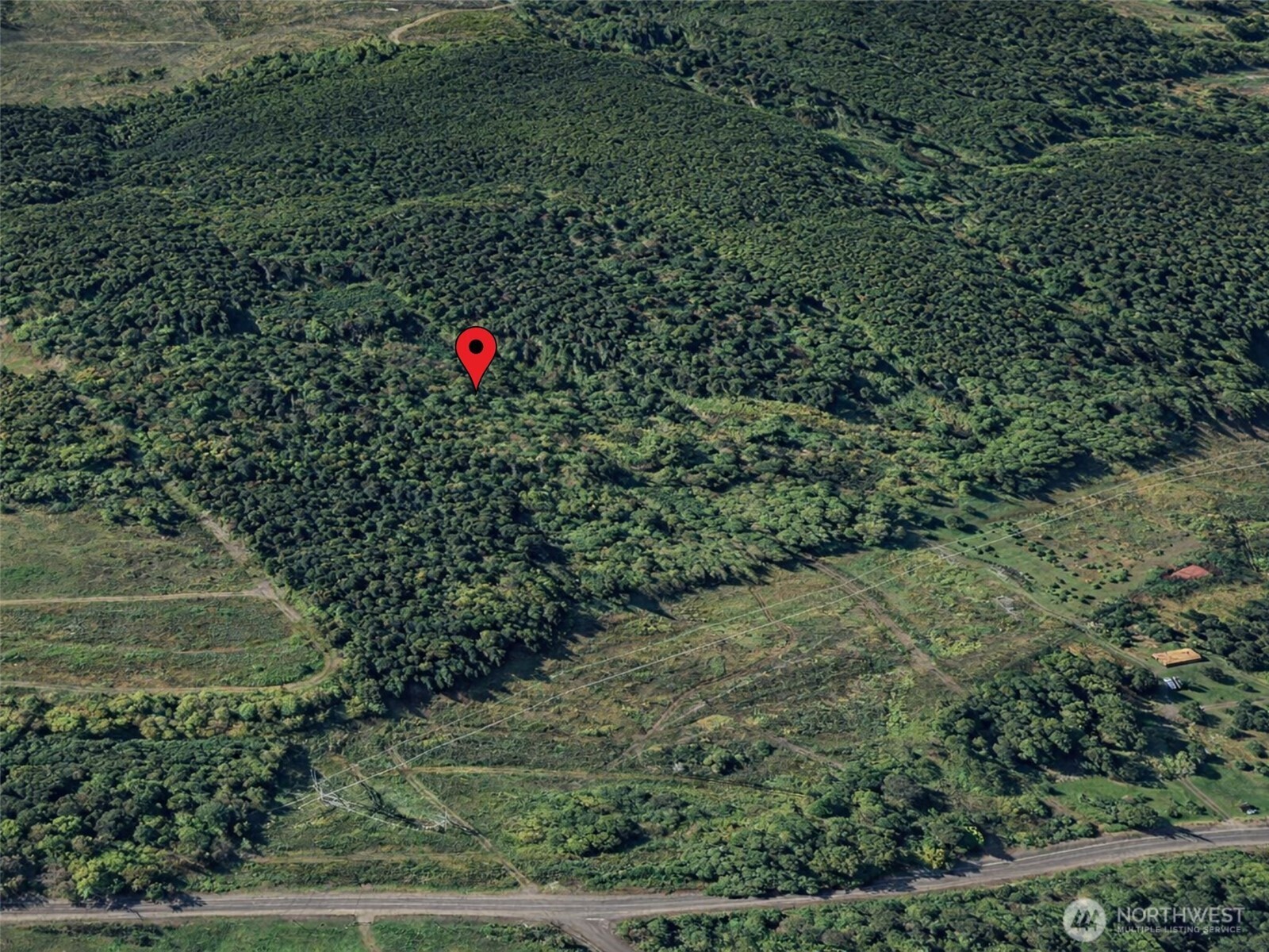 188 South Bank Road Elma, WA 98541 - Photo 2 of 32 a plant is in the middle of a field