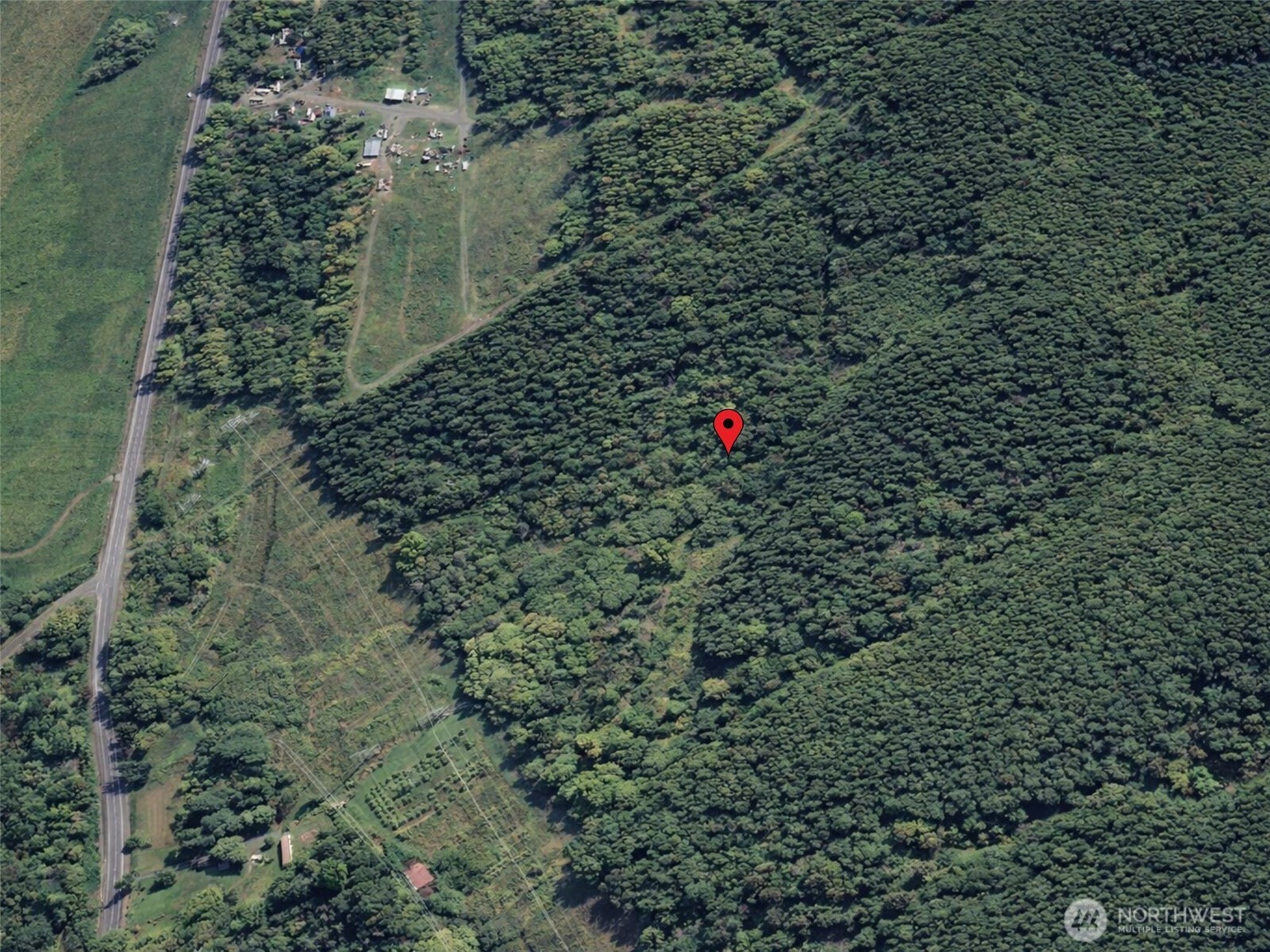 188 South Bank Road Elma, WA 98541 - Photo 22 of 32 a picture of a tree in a forest