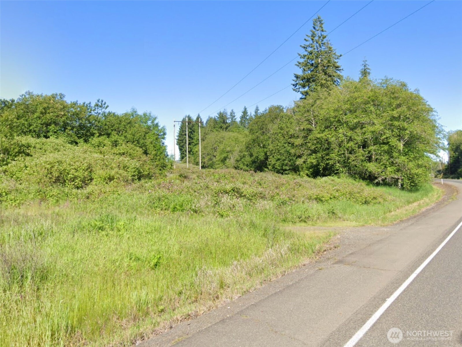 188 South Bank Road Elma, WA 98541 - Photo 26 of 32 a view of a yard with a plant