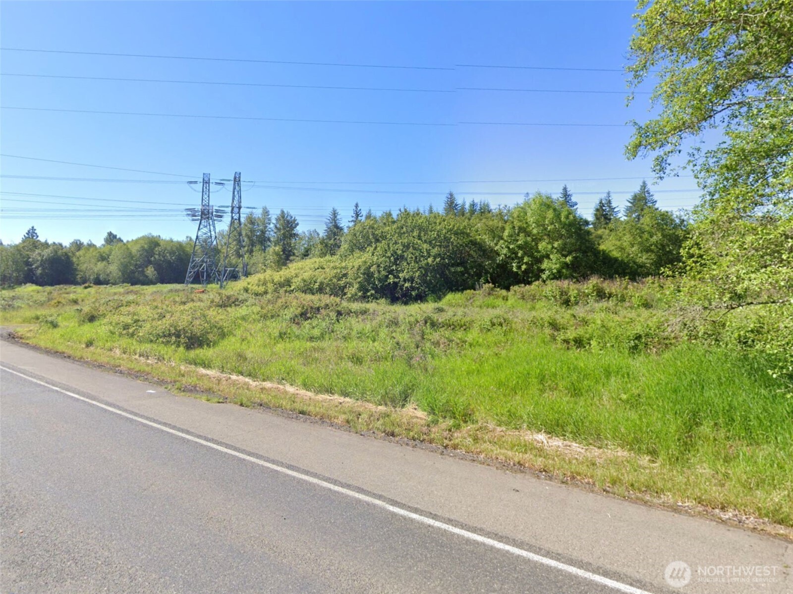 188 South Bank Road Elma, WA 98541 - Photo 27 of 32 a view of a yard with potted plants