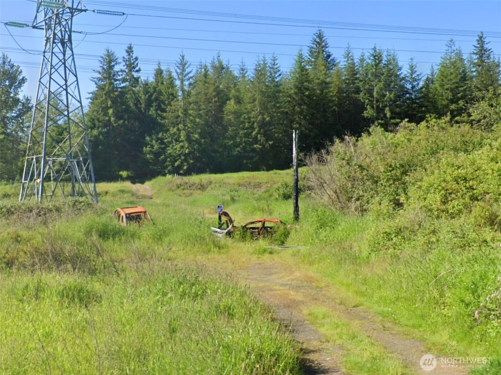 188 South Bank Road Elma, WA 98541 - Photo 28 of 32 a view of a yard with an trees