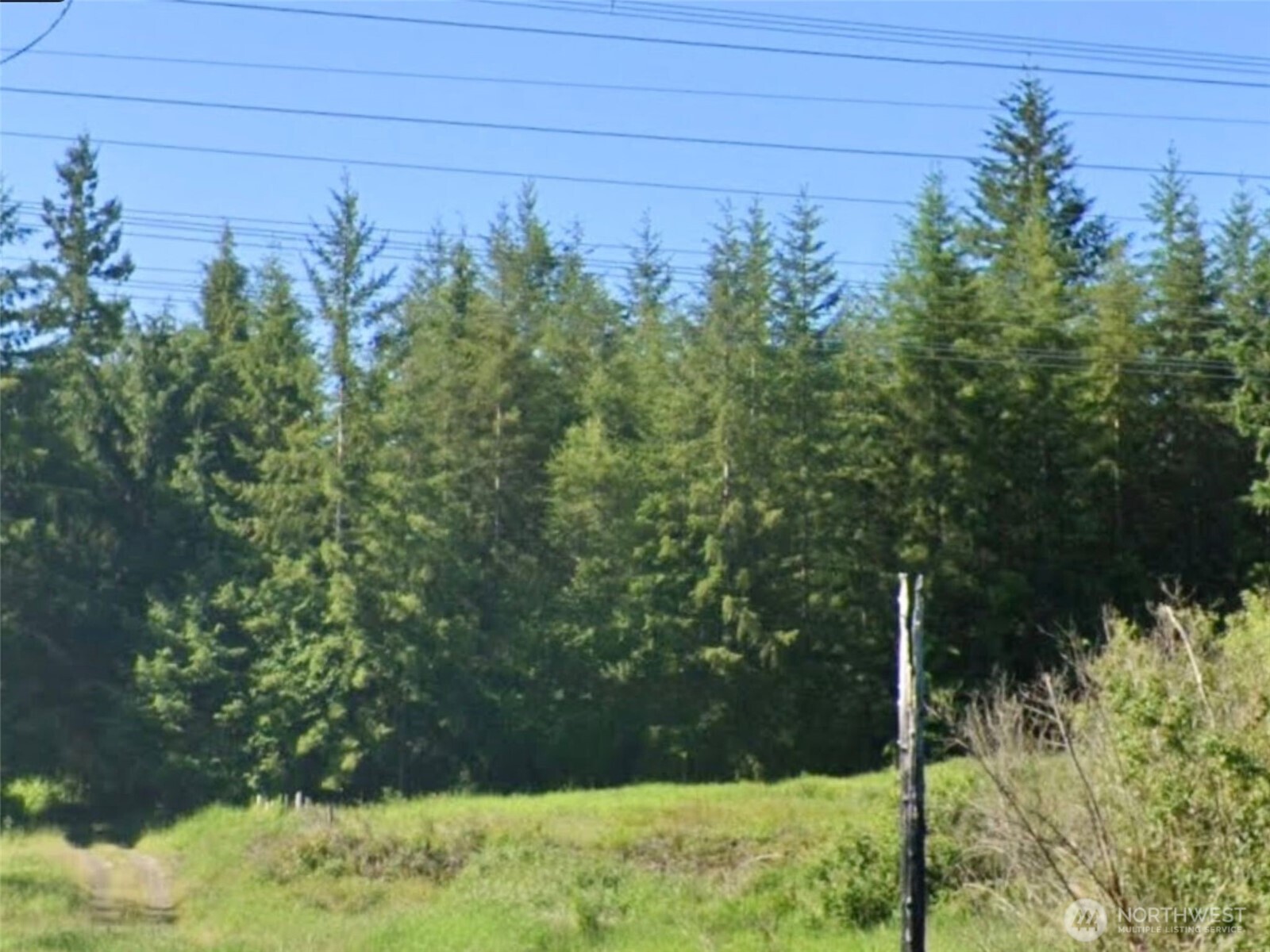 188 South Bank Road Elma, WA 98541 - Photo 29 of 32 a view of a yard