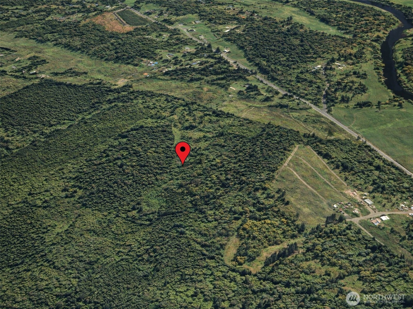 188 South Bank Road Elma, WA 98541 - Photo 10 of 32 a view of a tree in a field