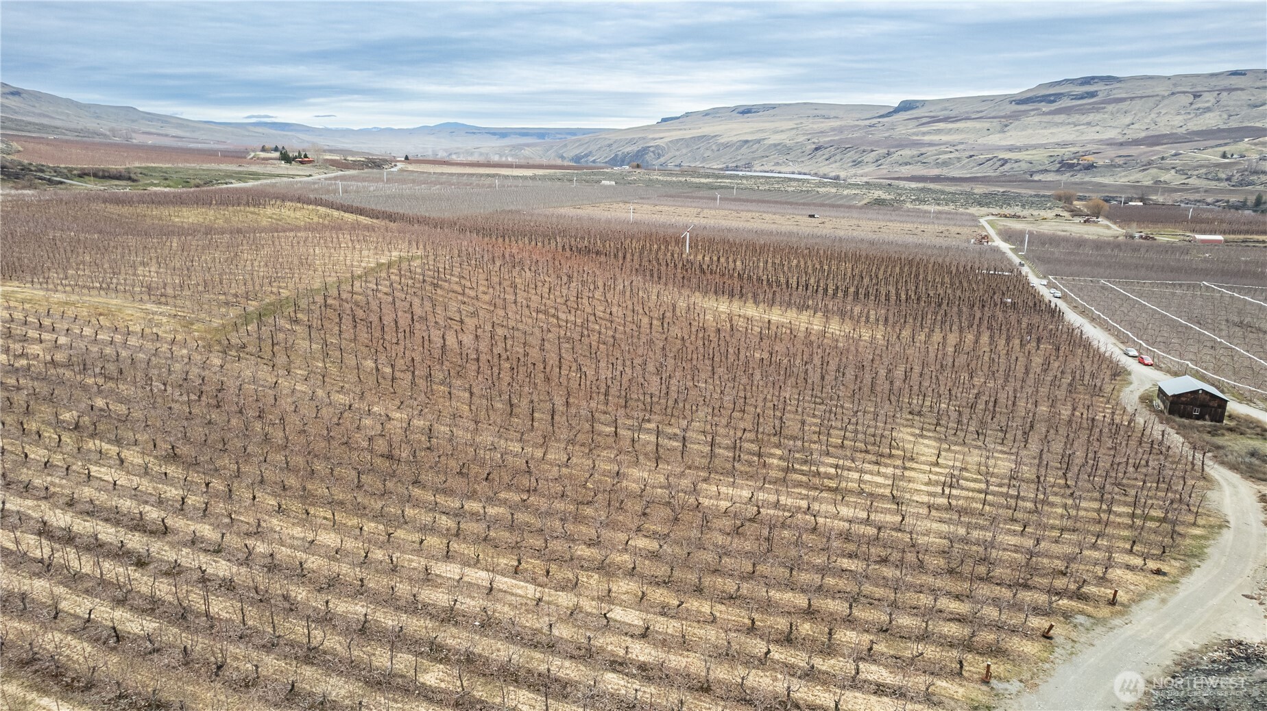 545 Jack Wells Road Bridgeport, WA 98813 - Photo 3 of 20