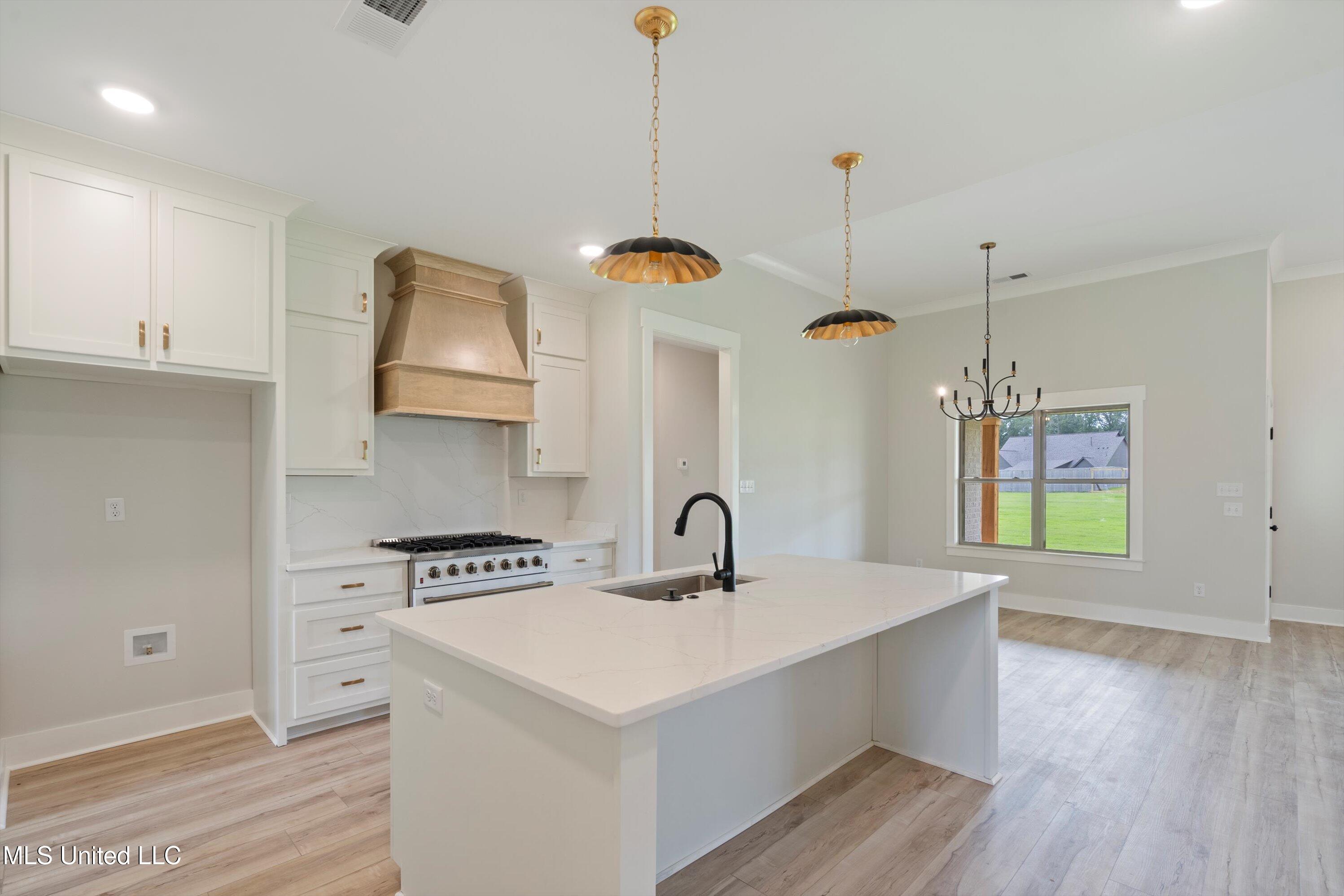 5147 Reserve Way Hernando, MS 38632 - Photo 11 of 43 06-DSC7302