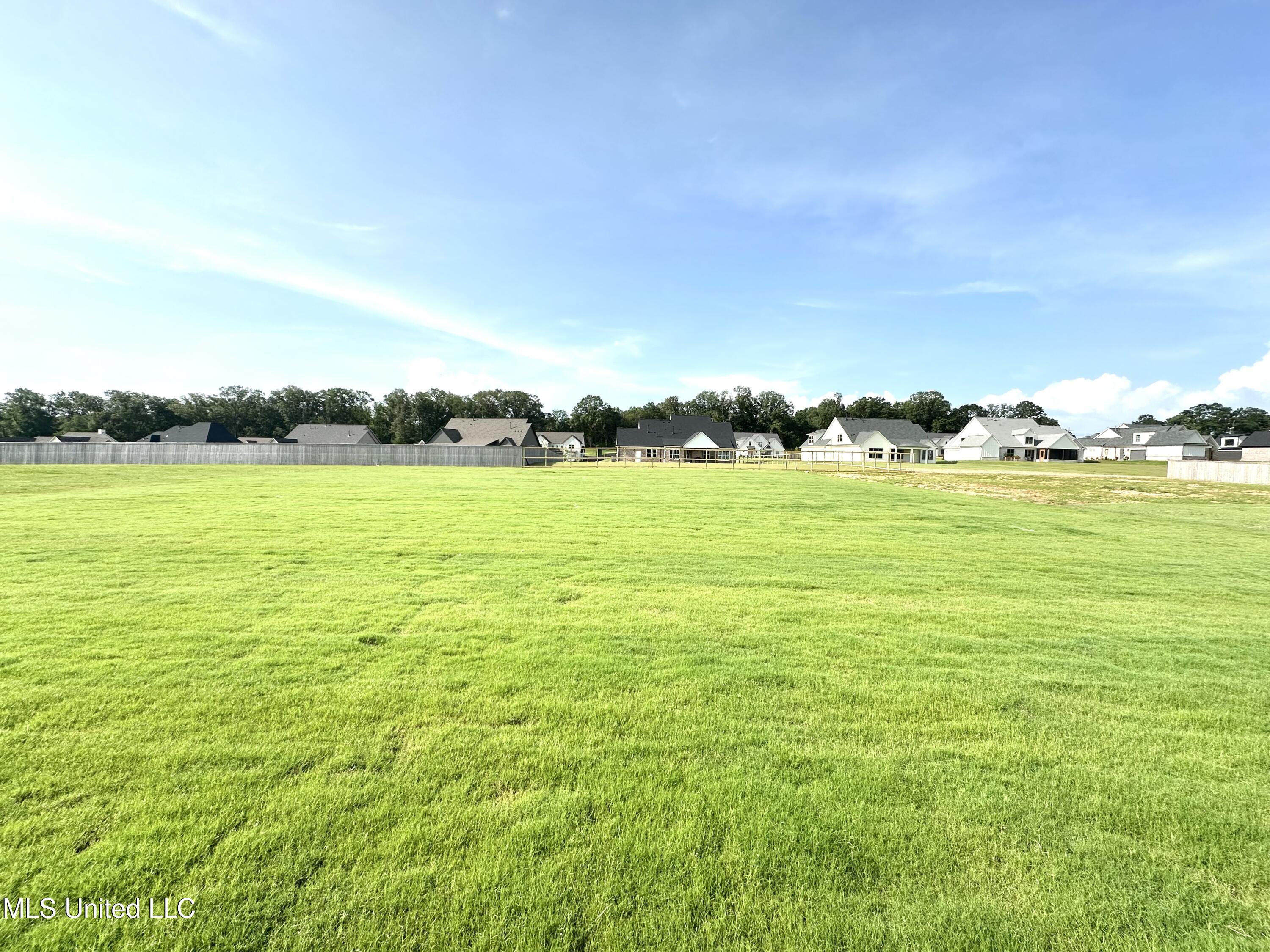 5147 Reserve Way Hernando, MS 38632 - Photo 39 of 43 IMG_2948