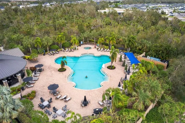 an aerial view of a swimming pool
