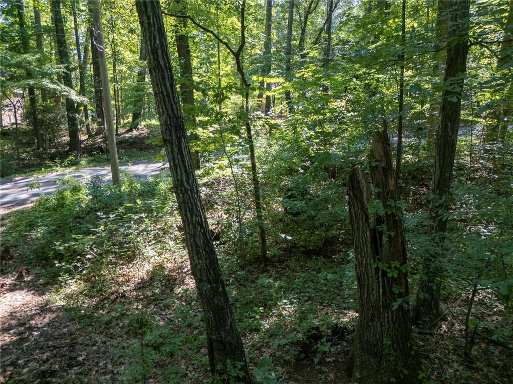 211 McDaniel Road Northwest Marietta, GA 30064 - Photo 11 of 18