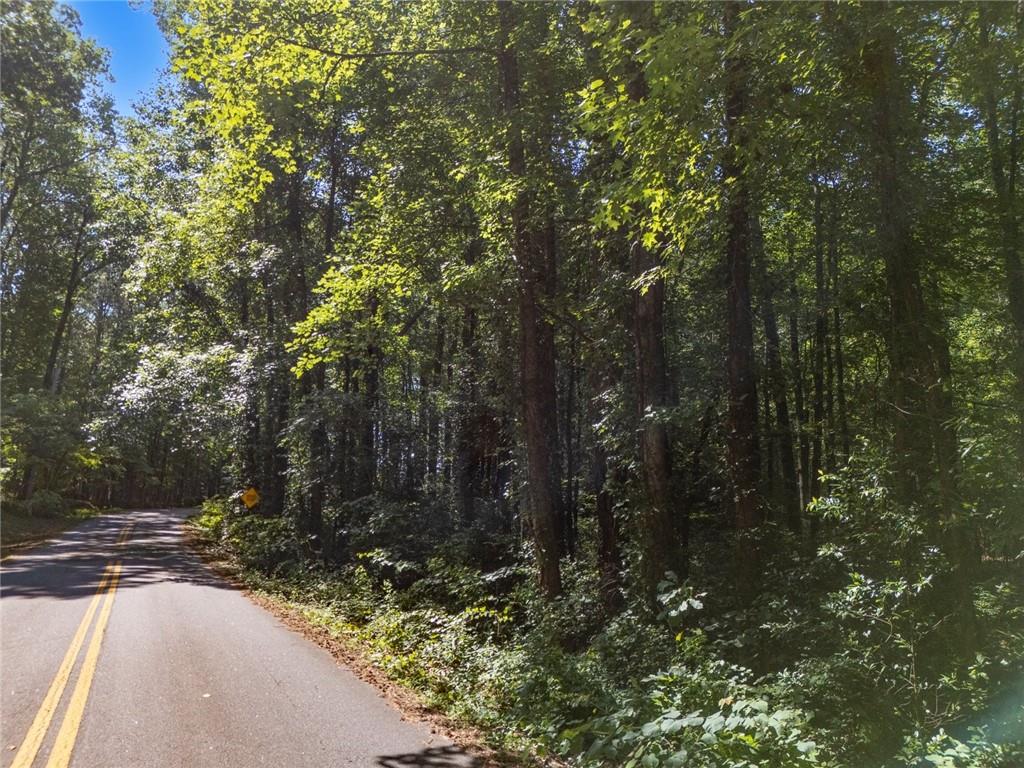 211 McDaniel Road Northwest Marietta, GA 30064 - Photo 3 of 18