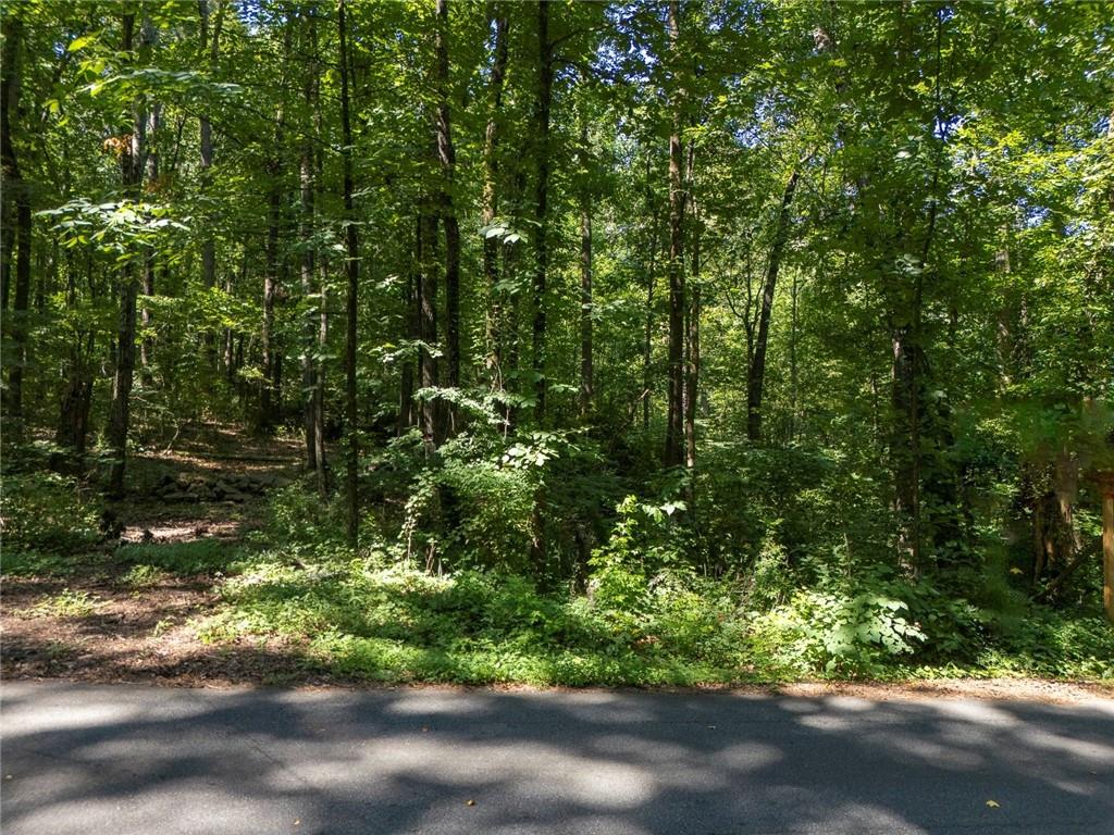 211 McDaniel Road Northwest Marietta, GA 30064 - Photo 5 of 18