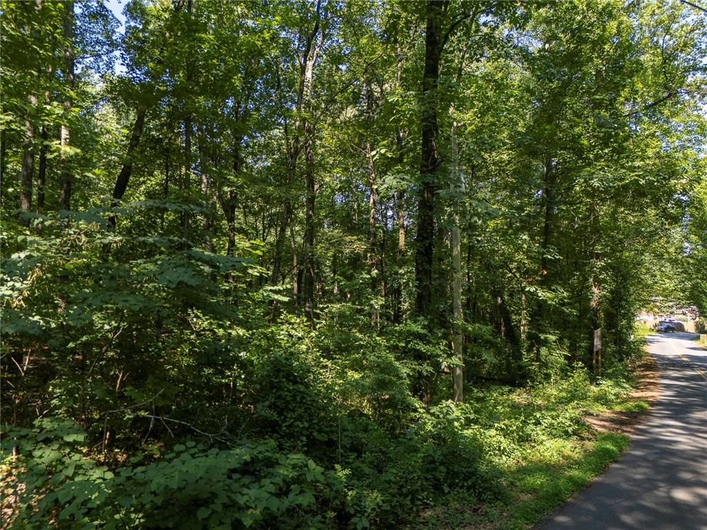 211 McDaniel Road Northwest Marietta, GA 30064 - Photo 6 of 18