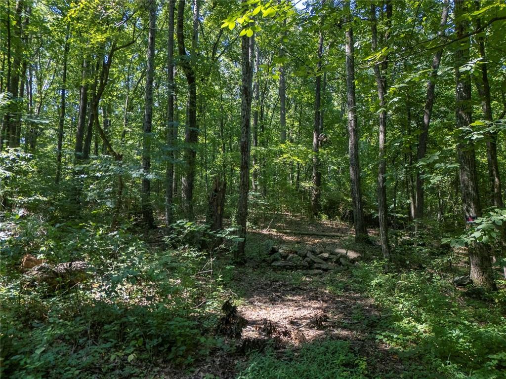 211 McDaniel Road Northwest Marietta, GA 30064 - Photo 7 of 18