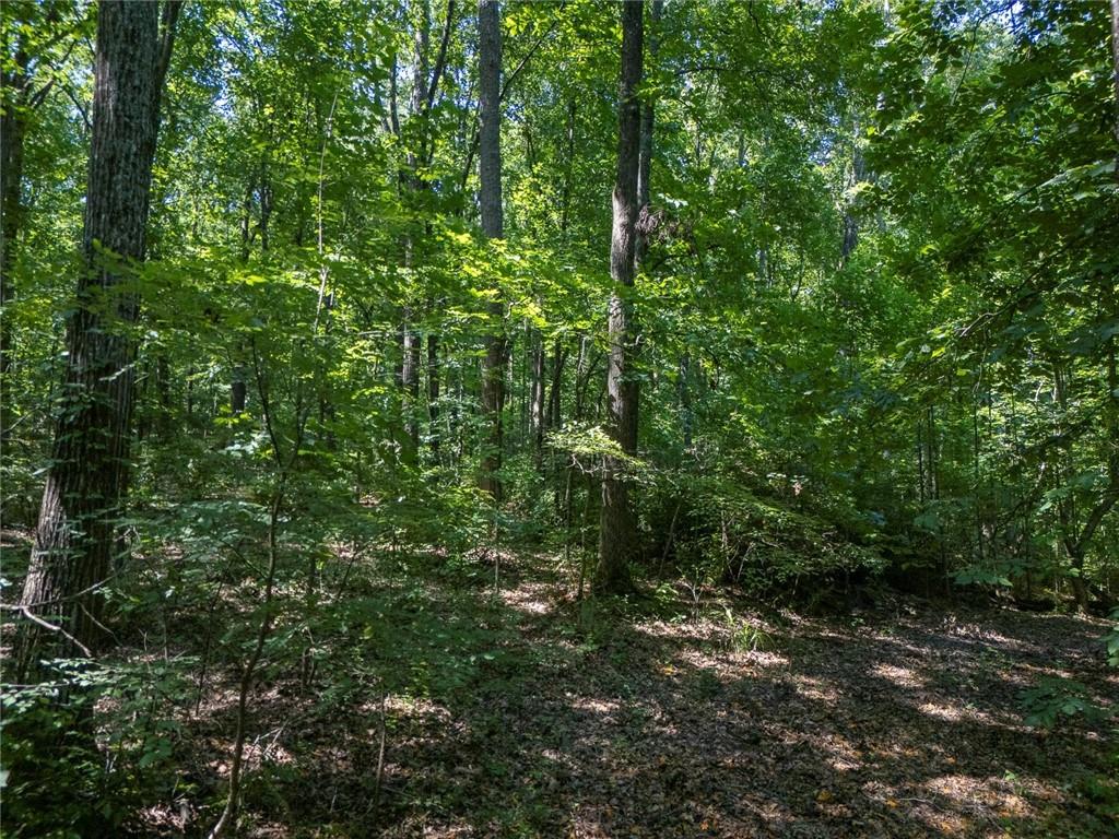 211 McDaniel Road Northwest Marietta, GA 30064 - Photo 8 of 18