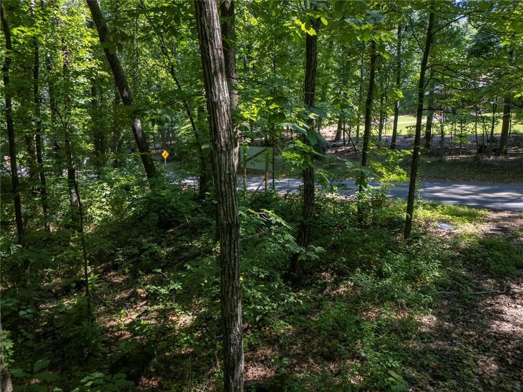 211 McDaniel Road Northwest Marietta, GA 30064 - Photo 9 of 18