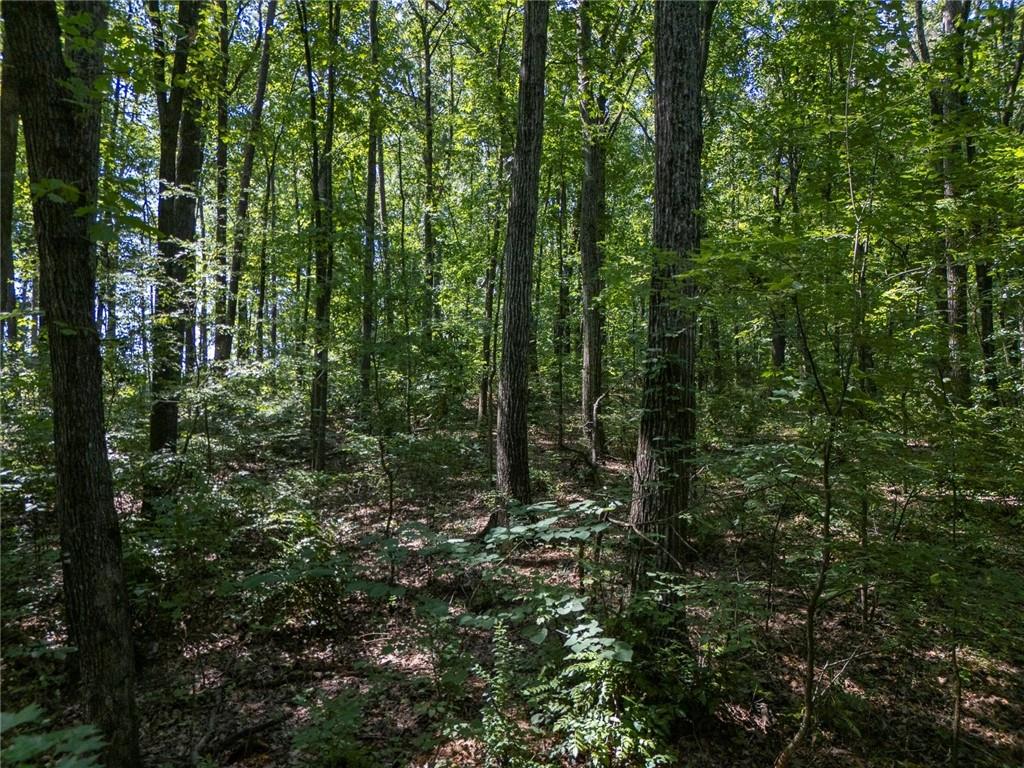 211 McDaniel Road Northwest Marietta, GA 30064 - Photo 10 of 18