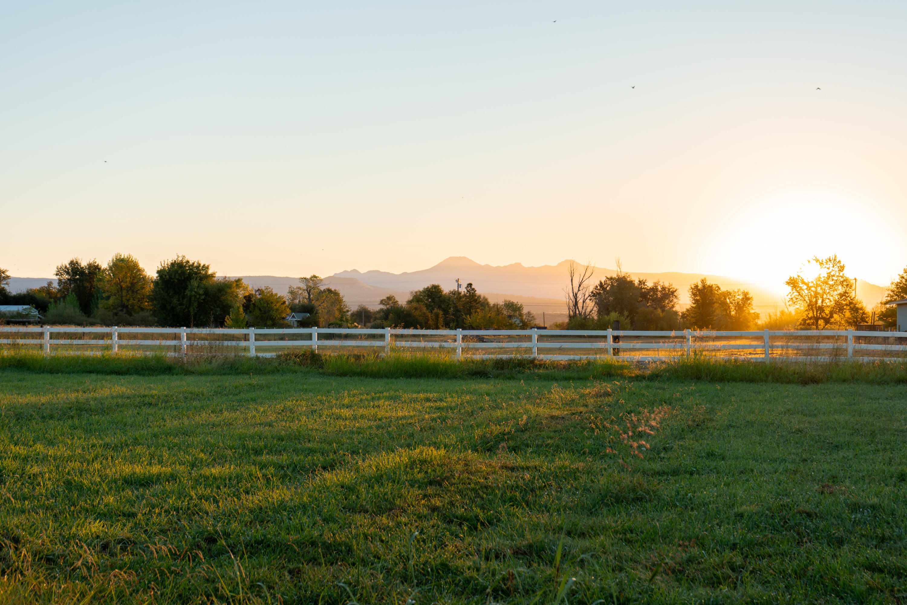 21780 Lone Tree Road Anderson, CA 96007 - Photo 83 of 84 Sunrise-13