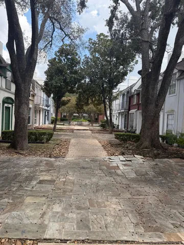 a view of a yard with large trees