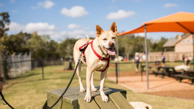 $693,900 | 113 Keuchel Lane, Liberty Hill, TX 78642