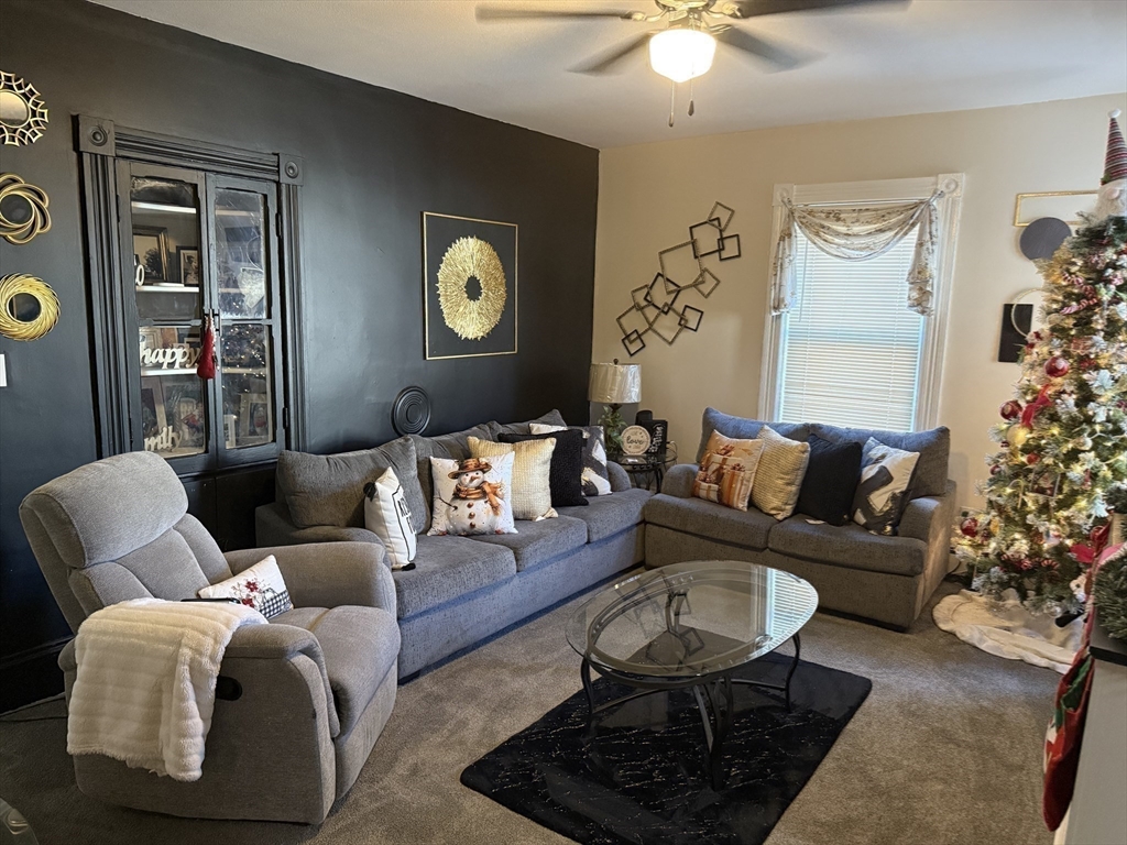 195 Millbury Street Worcester, MA 01610 - Photo 14 of 25 a living room with furniture and a potted plant