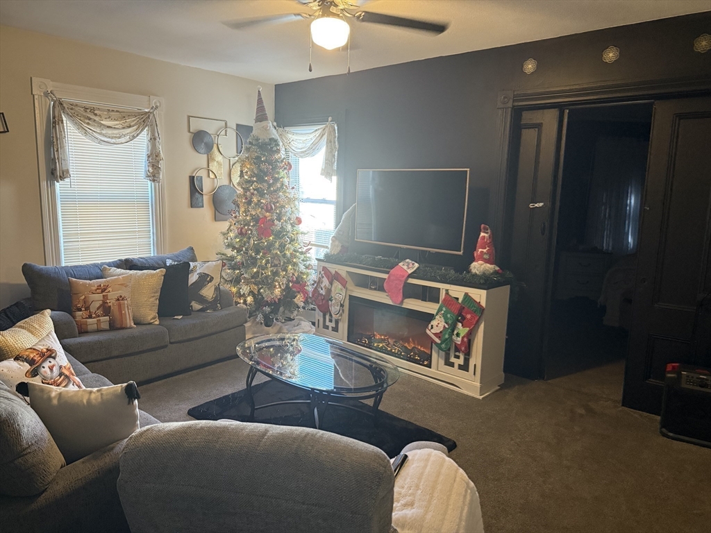 195 Millbury Street Worcester, MA 01610 - Photo 15 of 25 a living room with furniture and a potted plant