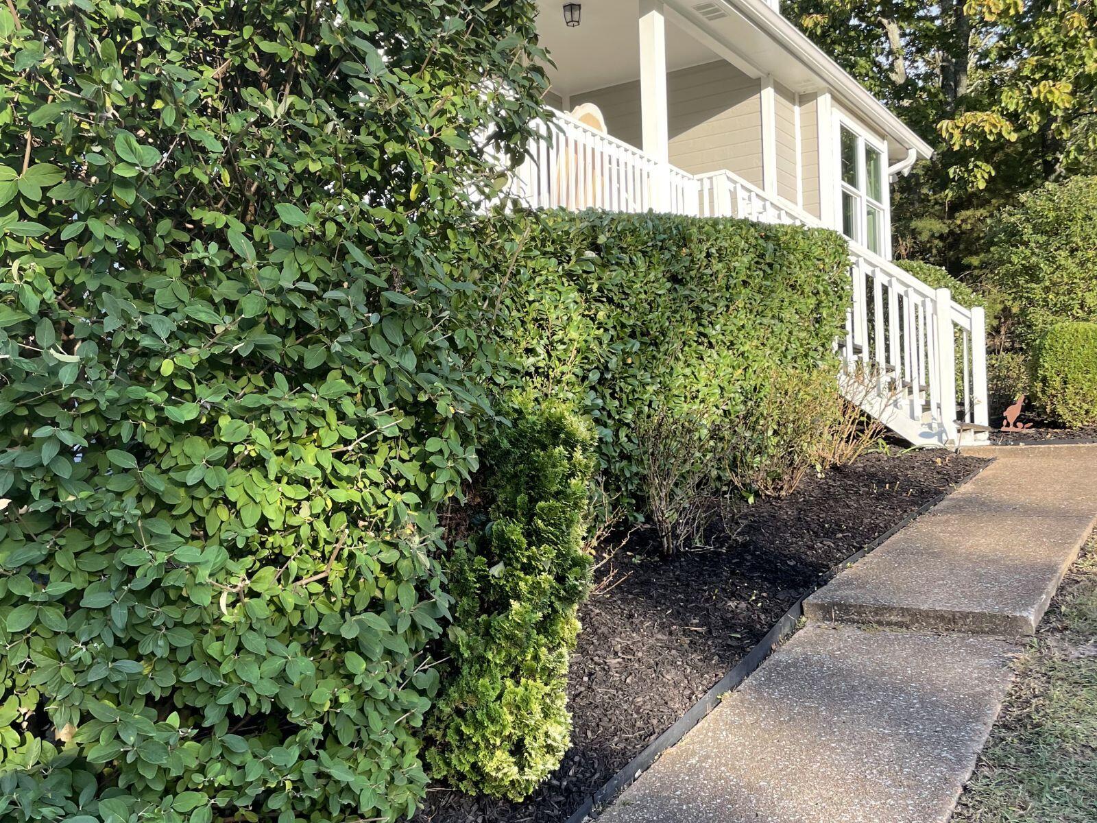 6701 Cooley Road Harrison, TN 37341 - Photo 27 of 29 27