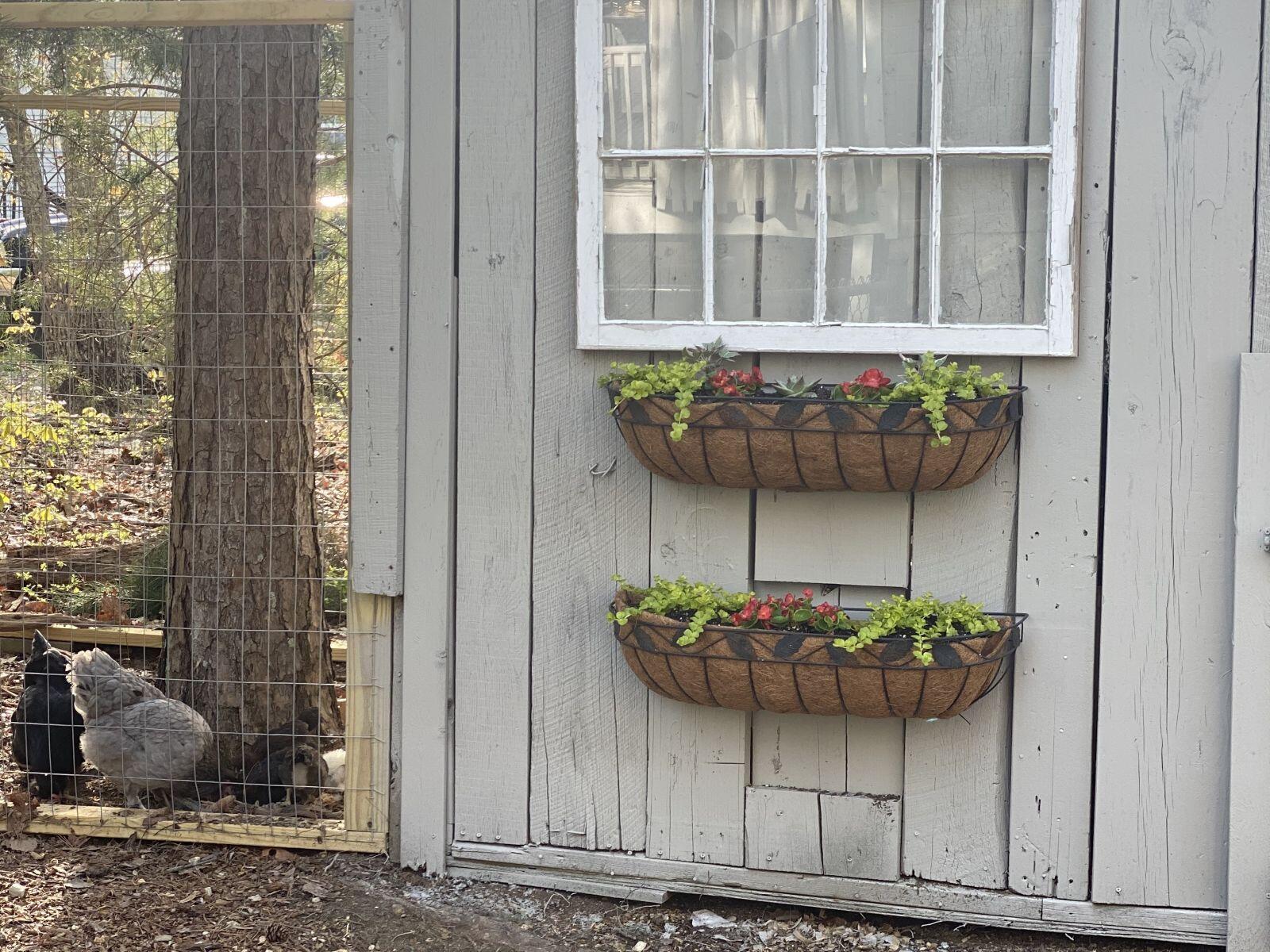 6701 Cooley Road Harrison, TN 37341 - Photo 8 of 29 8