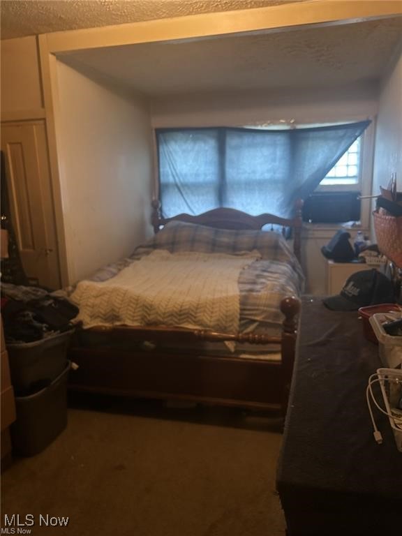 12342 Madison Road Huntsburg, OH 44046 - Photo 2 of 21 Bedroom with a textured ceiling and carpet flooring