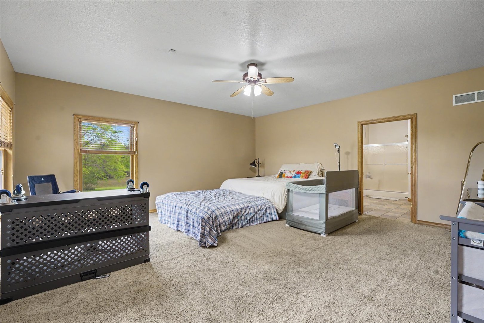 724 East Hilvety Road Moweaqua, IL 62550 - Photo 23 of 50