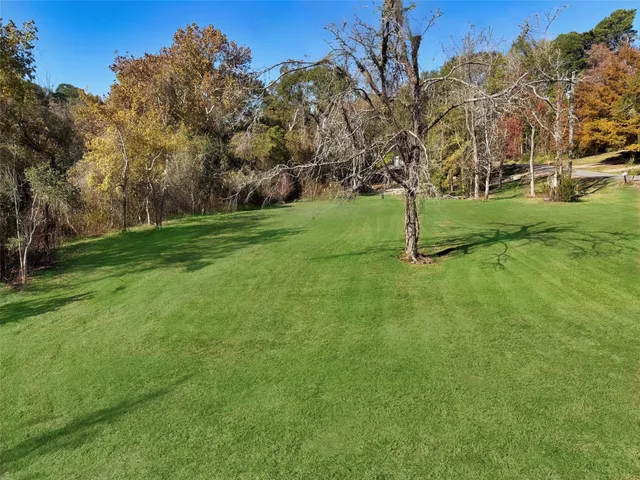 a view of a park with large trees