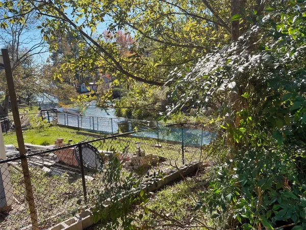 a view of a yard