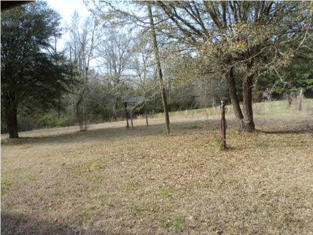 237 Smith Highway 128 Raleigh, MS 39153 - Photo 5 of 16 Part of the acre the house sits on