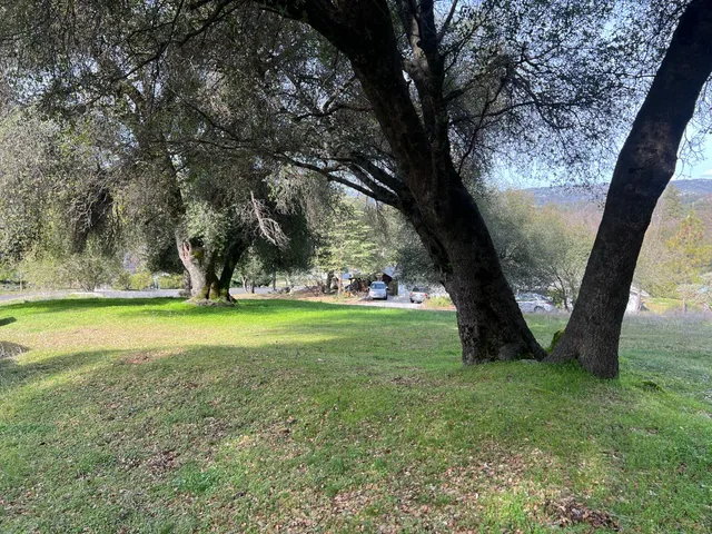 a view of outdoor space with deck and tree