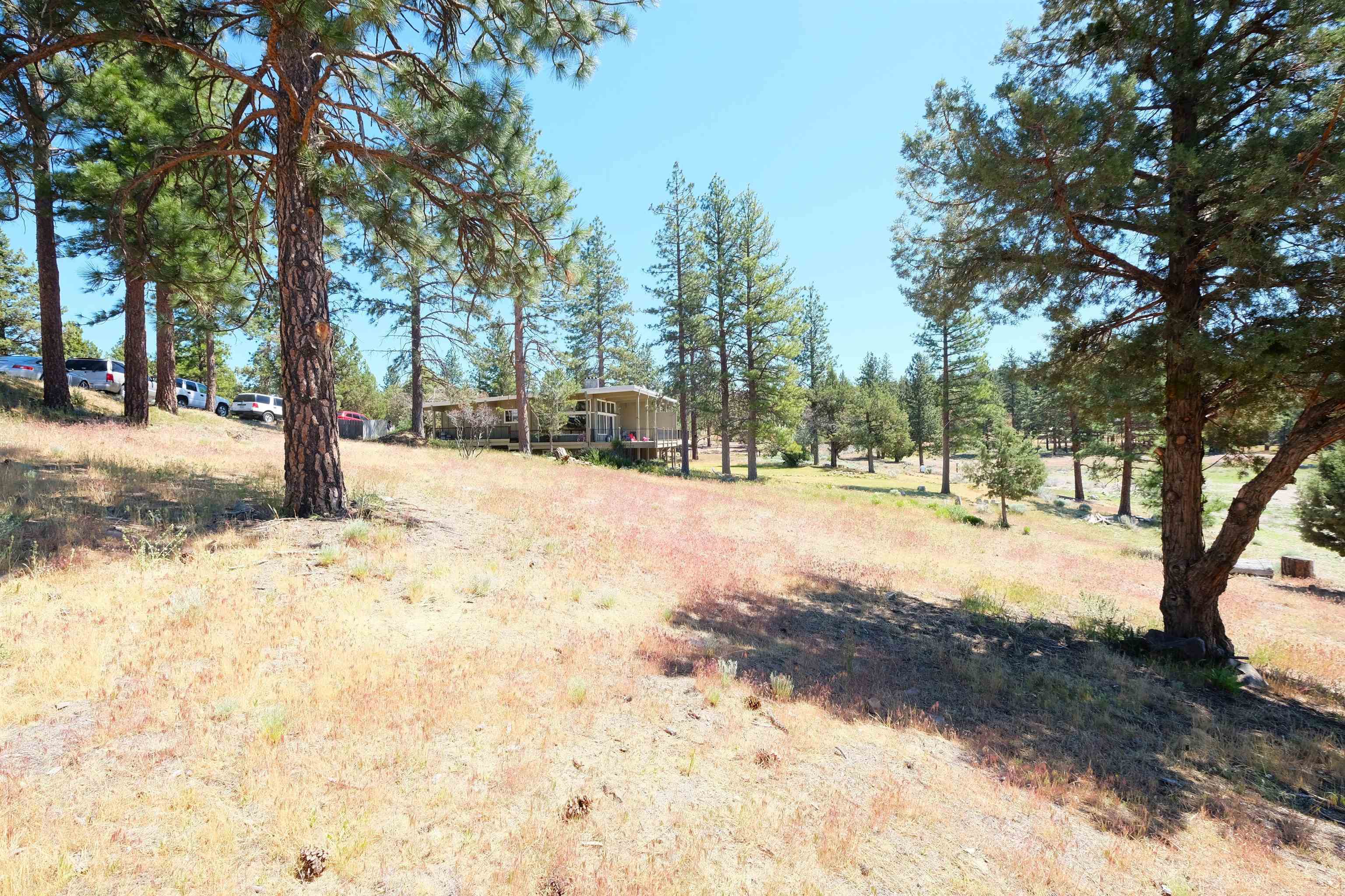 Lot 81 Spear Point Road Weed, CA 96094 - Photo 8 of 9 Gallery Image 8
