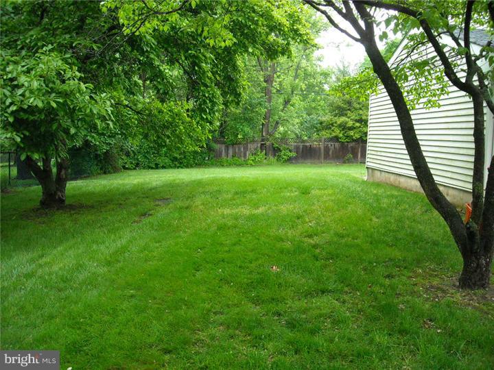1673 Daws Road Blue Bell, PA 19422 - Photo 6 of 18 Side Yard