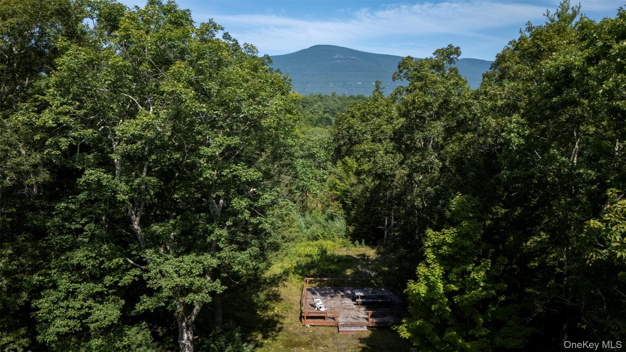 327 Phillips Road Saugerties, NY 12477 - Photo 24 of 24 Mountain view with a heavily wooded area