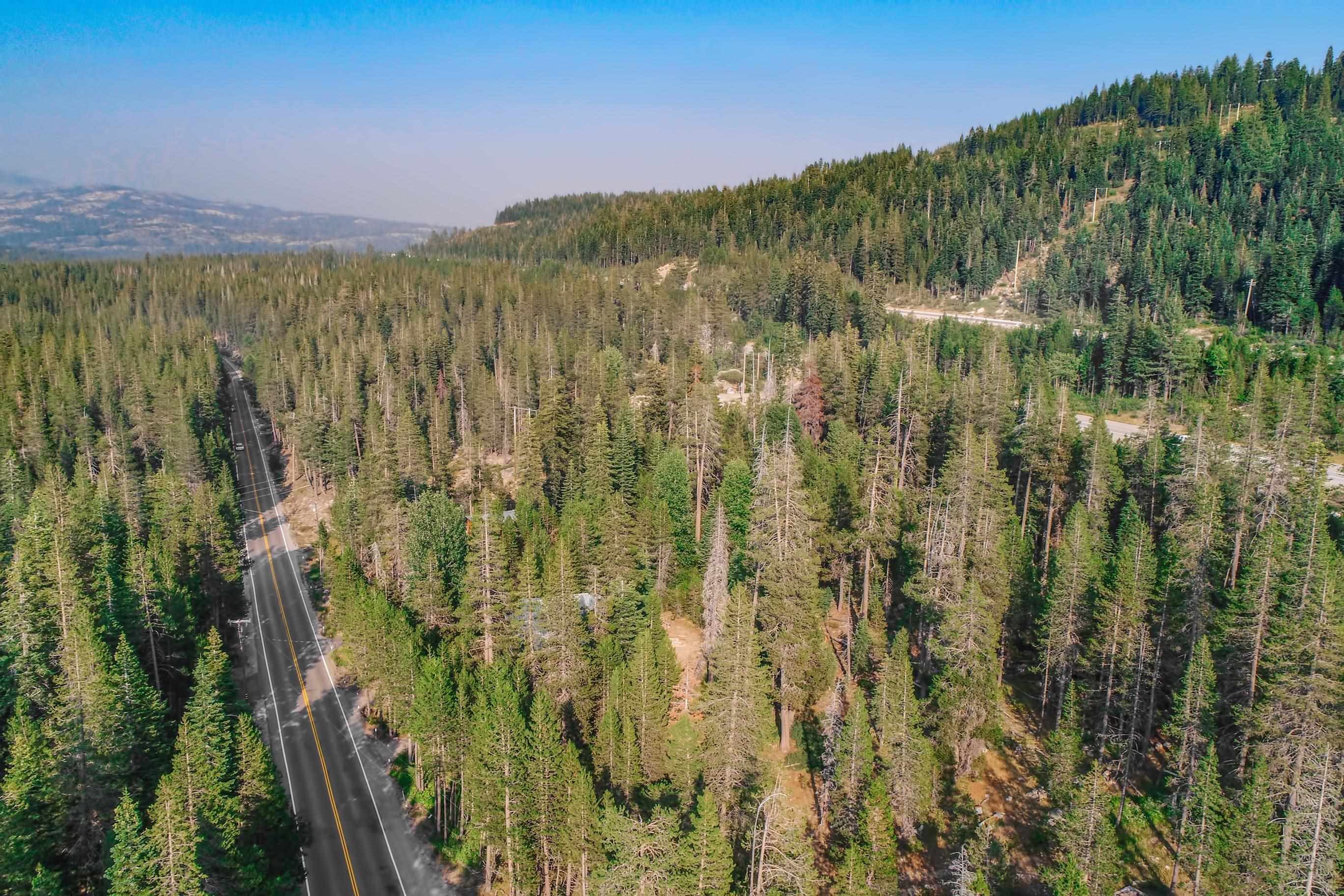 51357 Donner Pass Road Soda Springs, CA 95728 - Photo 7 of 17