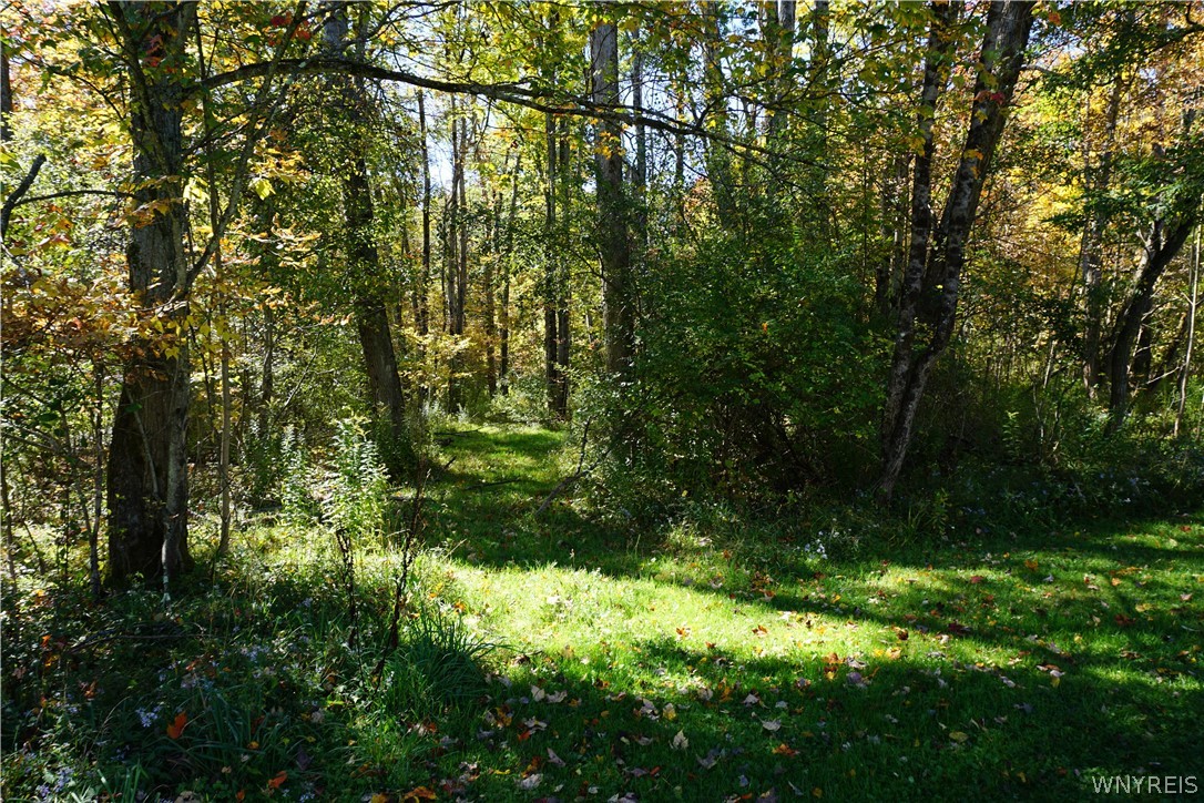 565 Ewing Road Lyndon, NY 14727 - Photo 26 of 37 Gallery Image 26