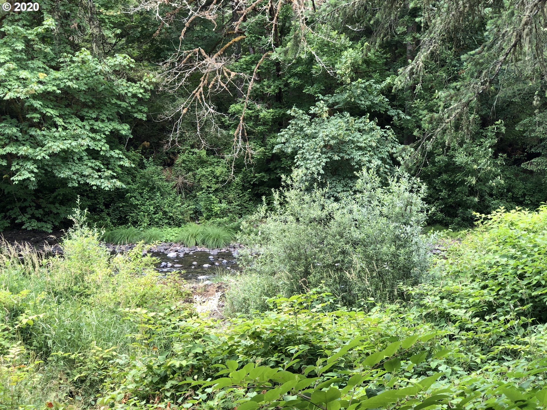 37462 Row River Road Dorena, OR 97434 - Photo 28 of 28 Gallery Image 28