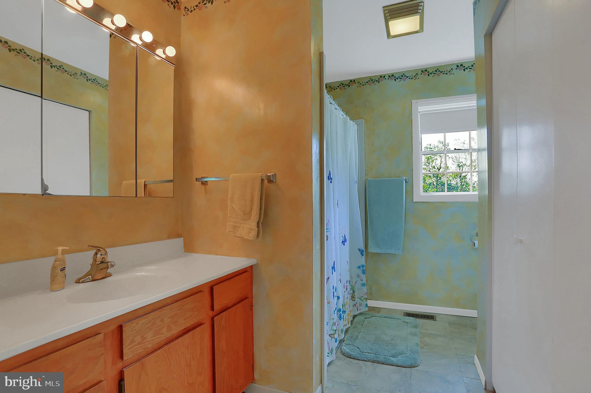 215 Chestnut Hill Road Hanover, PA 17331 - Photo 31 of 61 master bedroom bath