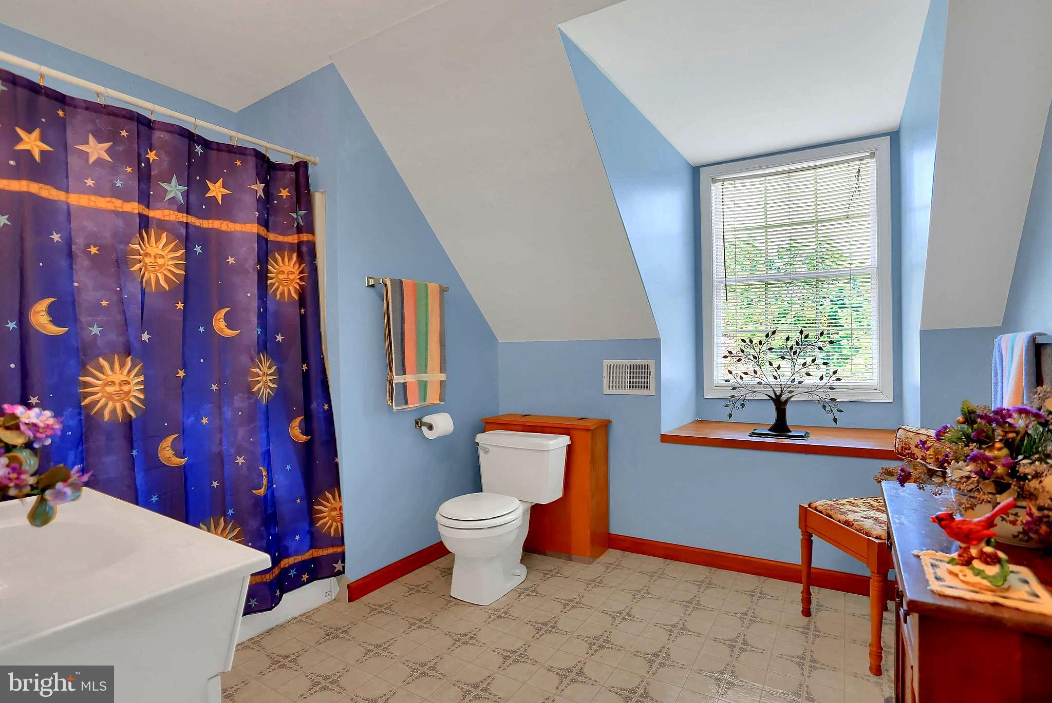 215 Chestnut Hill Road Hanover, PA 17331 - Photo 38 of 61 Upper full bath