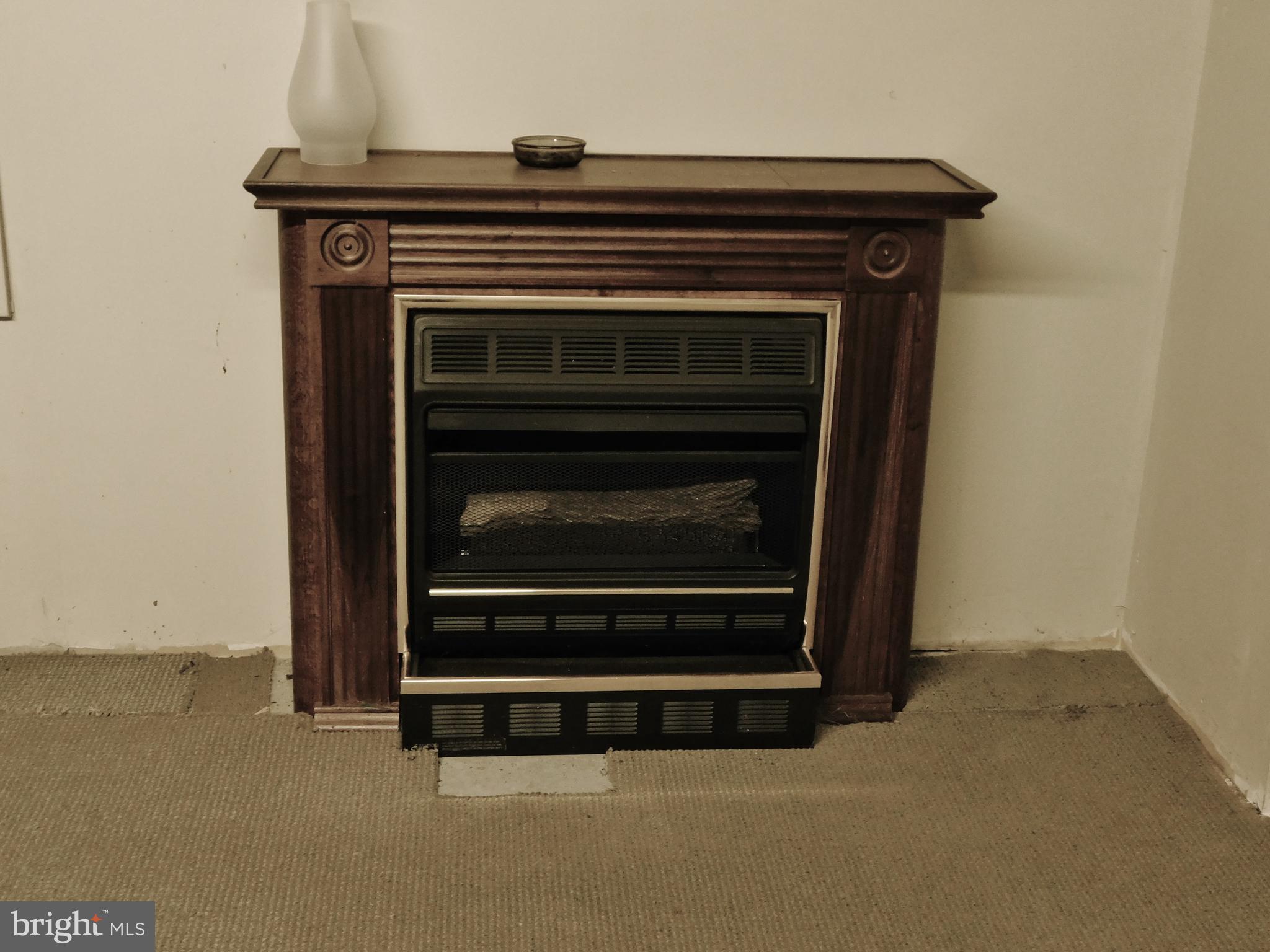 215 Chestnut Hill Road Hanover, PA 17331 - Photo 47 of 61 Aux gas heater