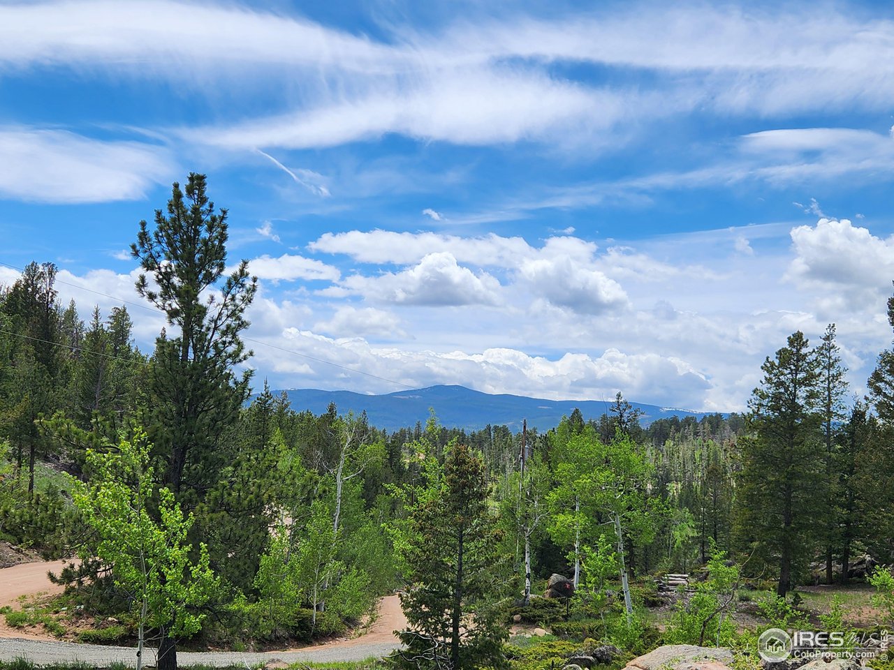 518 Crow Road Red Feather Lakes, CO 80545 - Photo 1 of 35 Just off Creedmore Lakes Rd you'll find Crow Rd