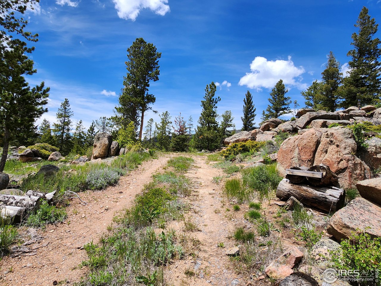 518 Crow Road Red Feather Lakes, CO 80545 - Photo 11 of 35 Driveway is waiting for you
