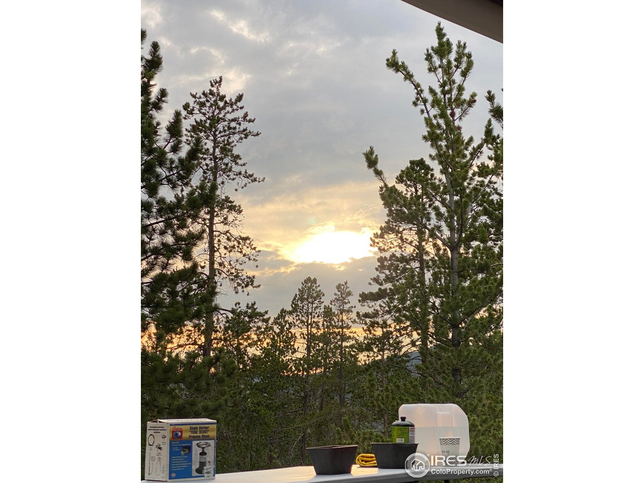 518 Crow Road Red Feather Lakes, CO 80545 - Photo 23 of 35 Quiet Evening Skys