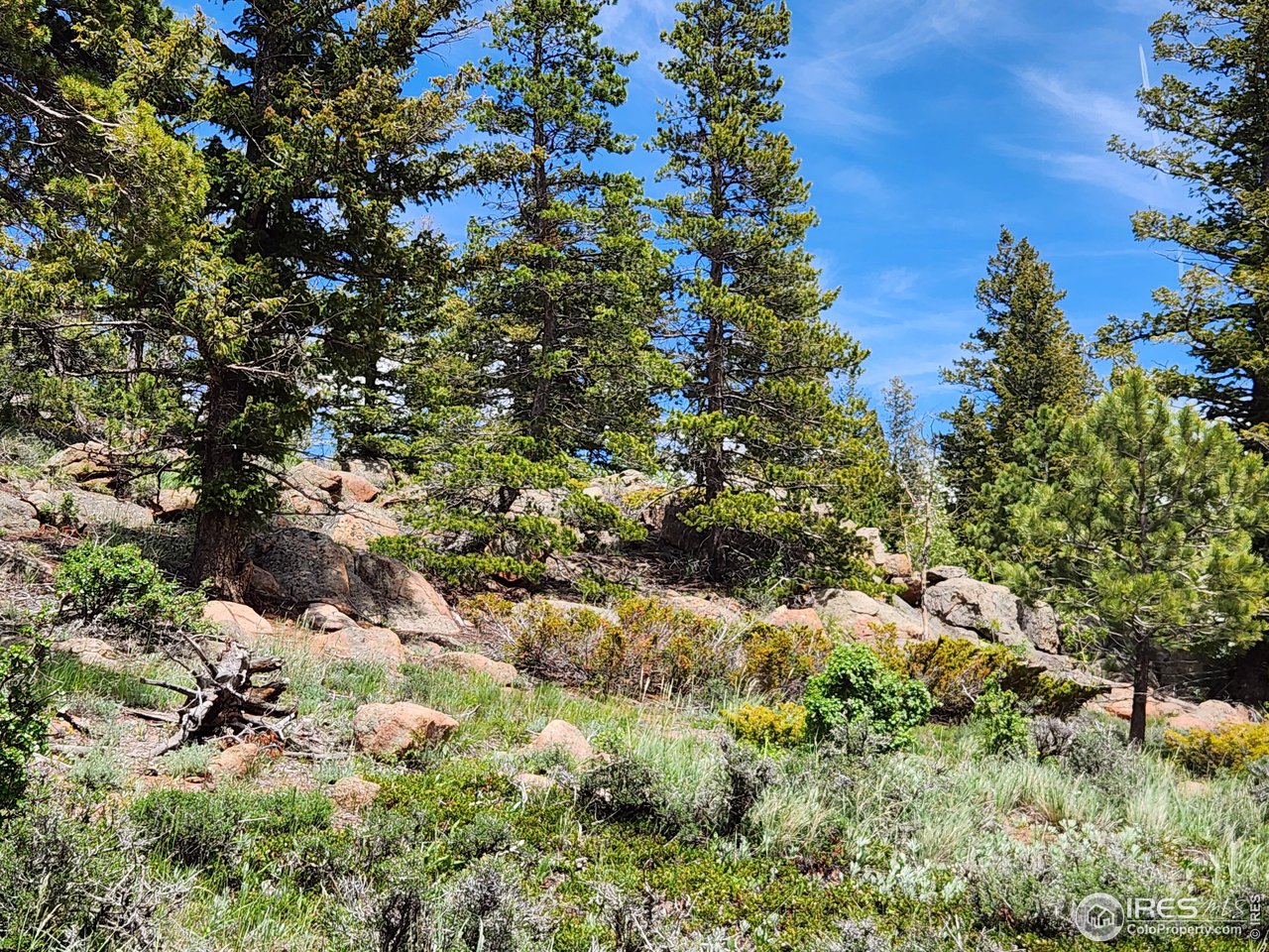518 Crow Road Red Feather Lakes, CO 80545 - Photo 25 of 35 Gallery Image 25