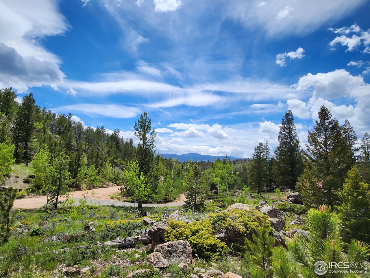 518 Crow Road Red Feather Lakes, CO 80545 - Photo 26 of 35 Gallery Image 26