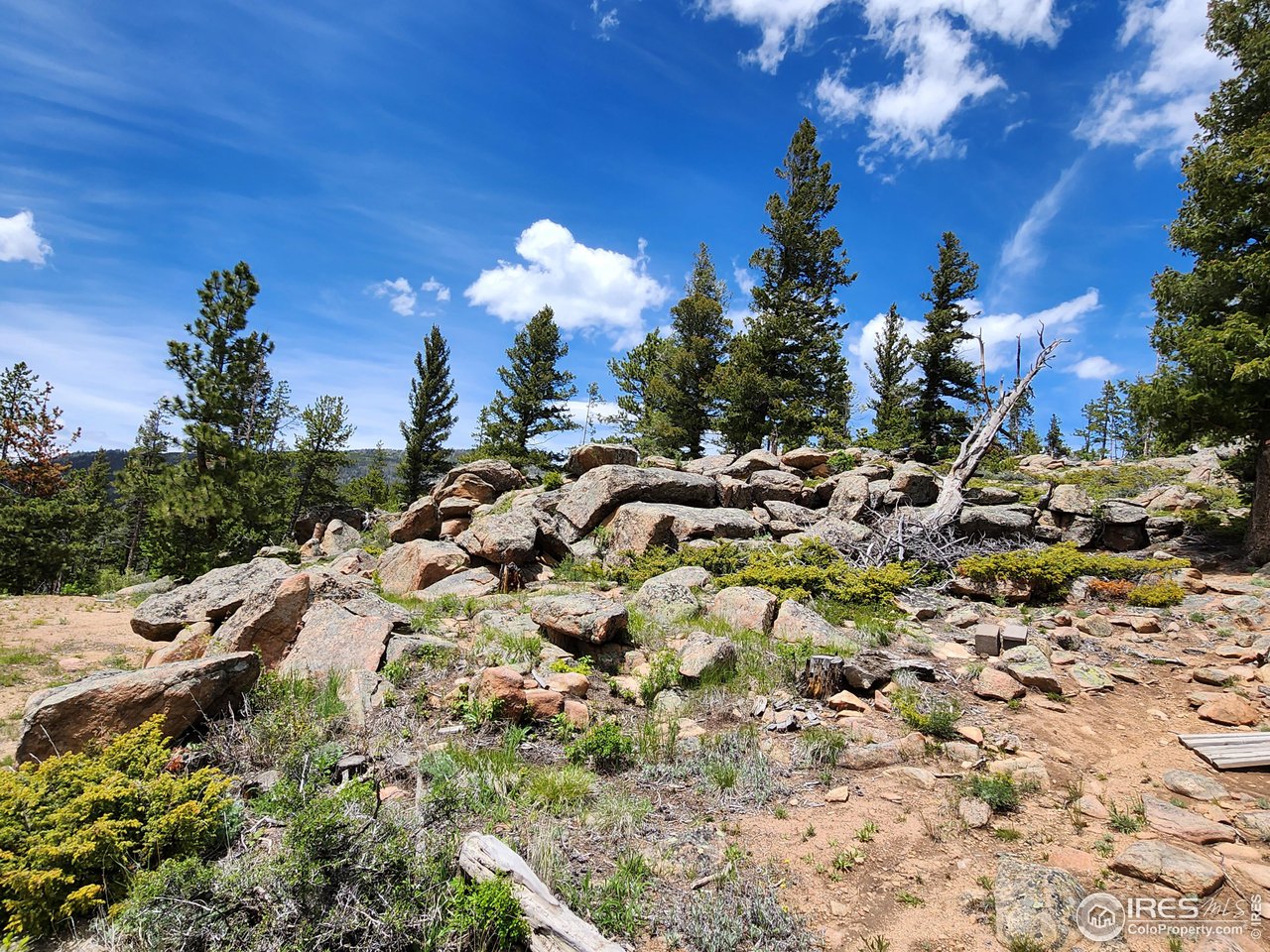 518 Crow Road Red Feather Lakes, CO 80545 - Photo 27 of 35 Gallery Image 27