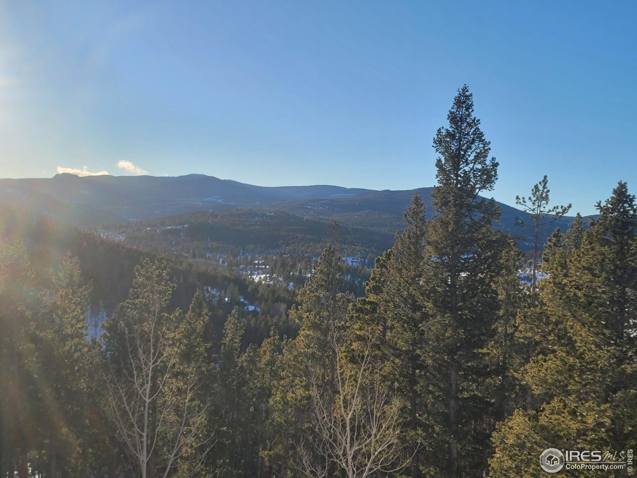 518 Crow Road Red Feather Lakes, CO 80545 - Photo 3 of 35 Vistas All Around