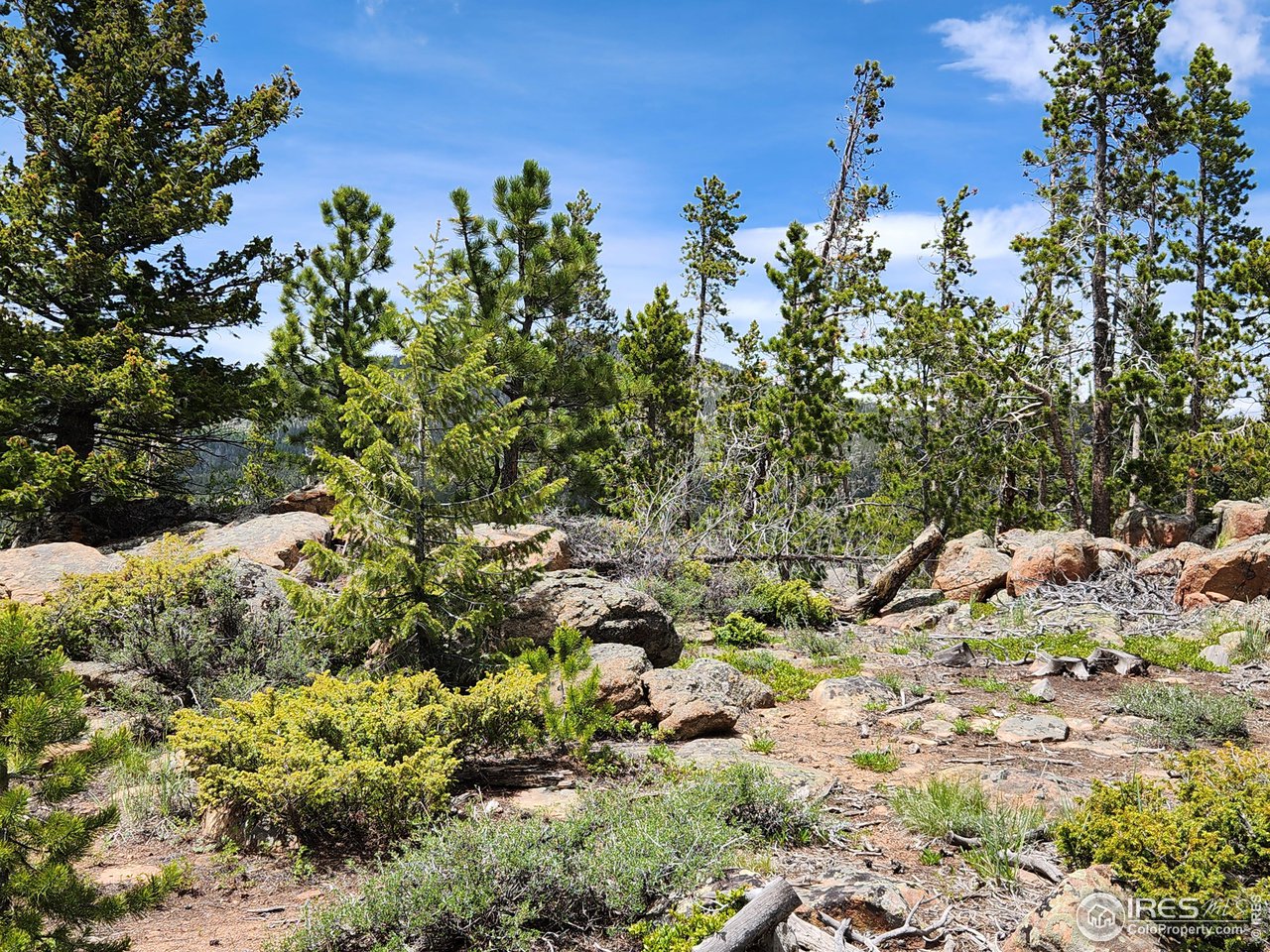 518 Crow Road Red Feather Lakes, CO 80545 - Photo 34 of 35 Gallery Image 34